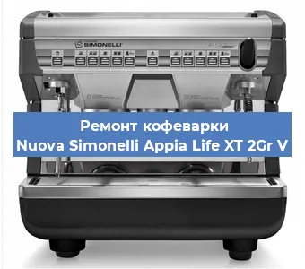 Чистка кофемашины Nuova Simonelli Appia Life XT 2Gr V от кофейных масел в Екатеринбурге